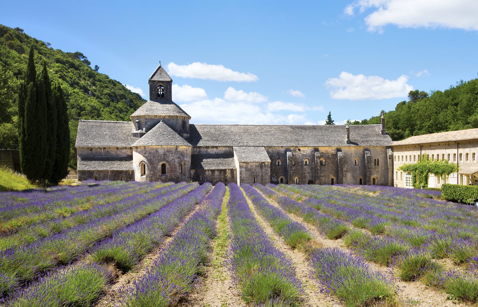 Abbaye Notre-Dame de Sénanque in Provence — a 12th-century Cistercian abbey fronted by long rows of lavender in full bloom
